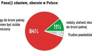 Polacy o dostępie do broni palnej